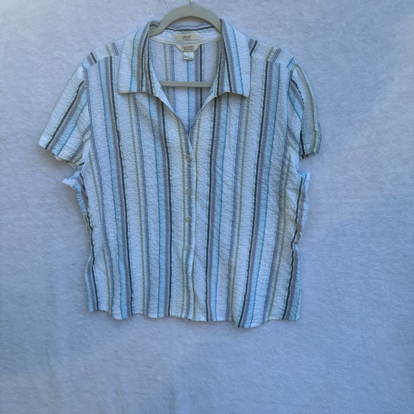 Christopher & Banks Blue Striped Button-Down Shirt - Picture 5 of 9